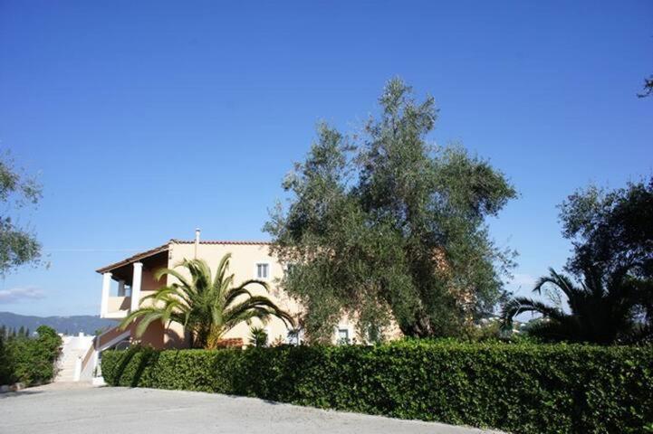 Aparthotel Rosa *
